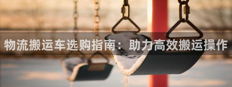 28圈龙虎