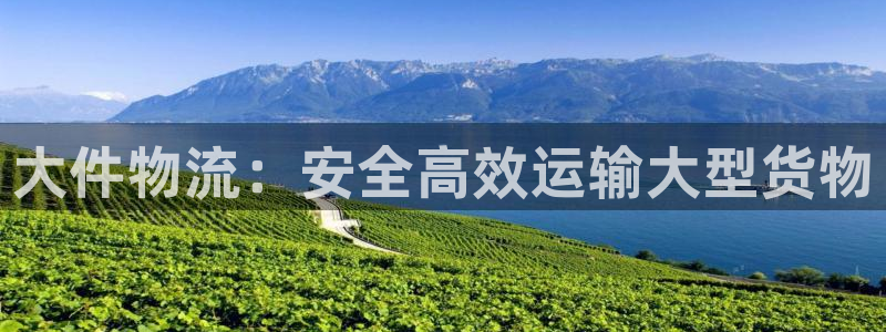 28圈辅助