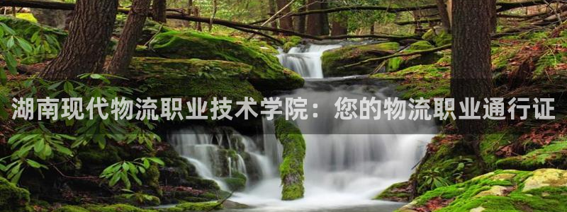28圈网赌有什么风险