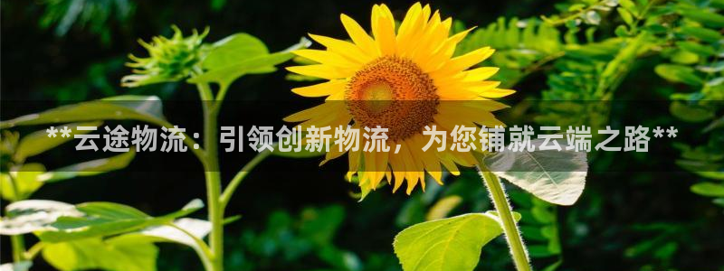 28圈充值不到账怎么办：**云途物流