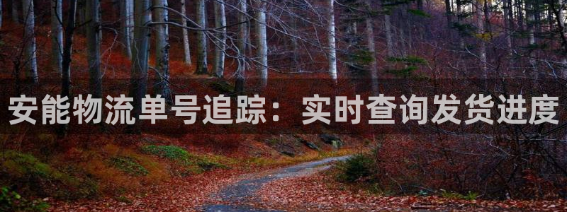 28圈.ccmpc28