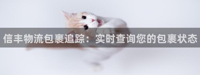 28圈链接多少：信丰物流包裹追踪：实