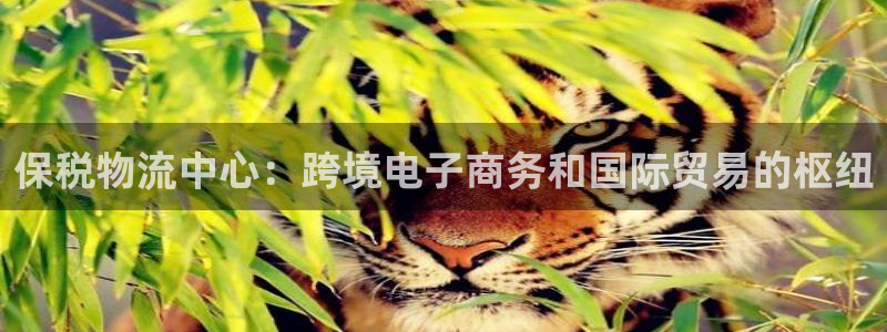 28圈推广链接是多少粉丝