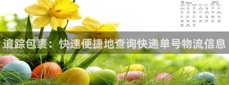 28圈加拿大pc预测
