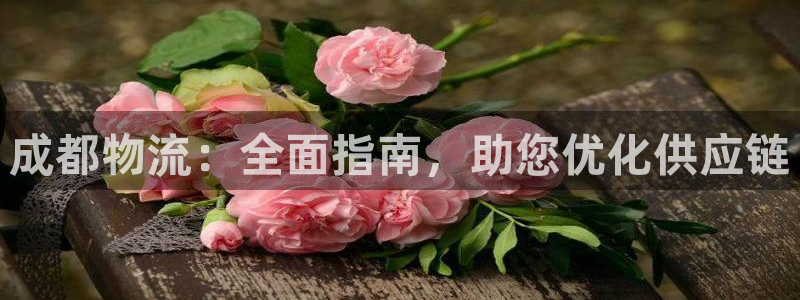 28圈是什么软件