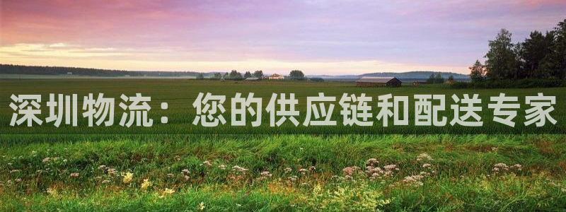 28圈pc预测