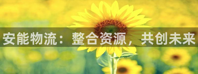28圈游戏官网平台：安能物流：整合资