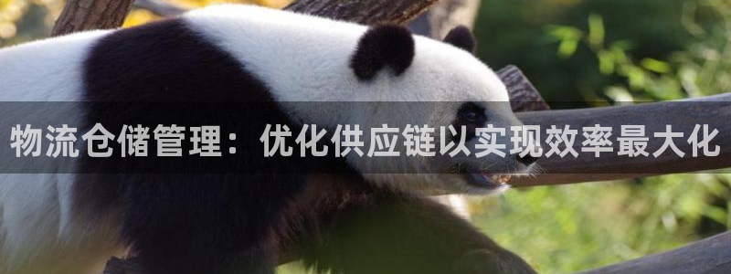28圈官方官网版