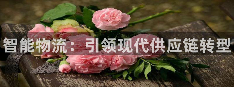 加拿大28圈是什么