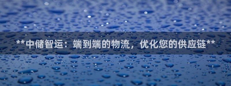 加拿大28圈是什么：**中储智运：端