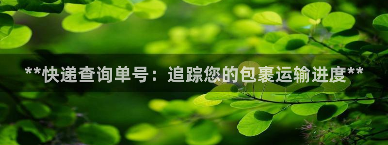 28圈黑吗
