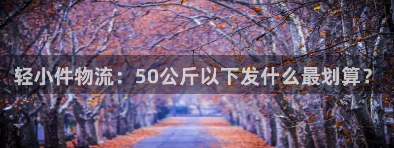 28圈链接