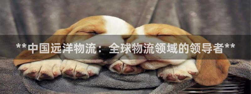 28圈能退款吗