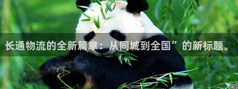 28圈是啥：长通物流的全新篇章：从同
