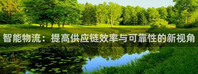 28圈大舞台：智能物流：提高供应链效率与可靠性的新视角