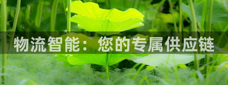 28圈为什么没有赢过一次