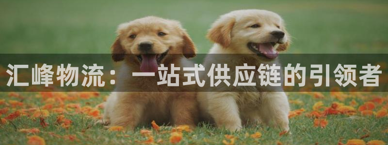 28圈官方网站是多少：汇峰物流：一站