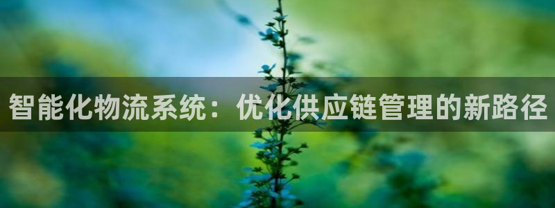 28圈的自行车