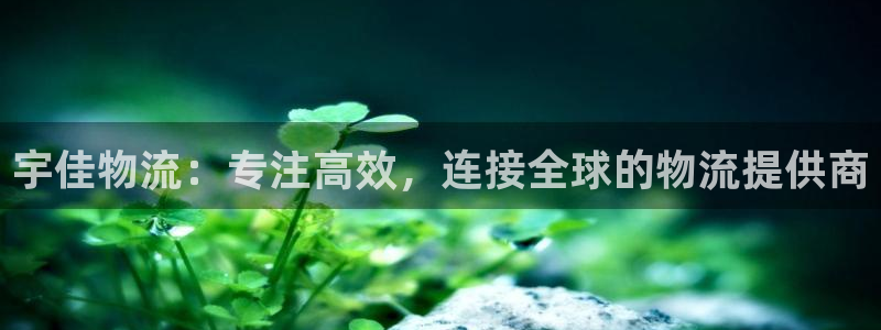 28圈cn：宇佳物流：专注高效，连接全球的物流提供商