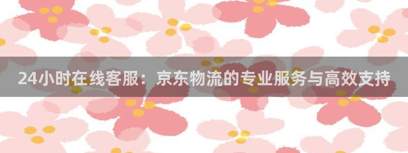 28圈充值：24小时在线客服：京东物