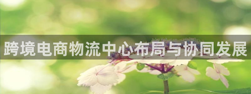 28圈黑款：跨境电商物流中心布局与协