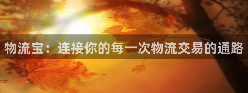 28圈口内径是多大：物流宝：连接你的