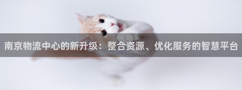 28圈入口问一问：南京物流中心的新升