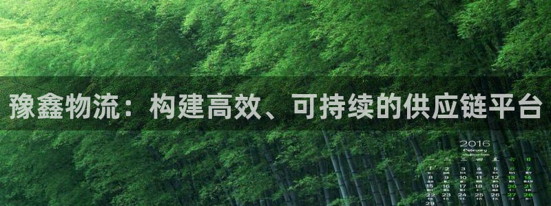 28圈反水：豫鑫物流：构建高效、可持