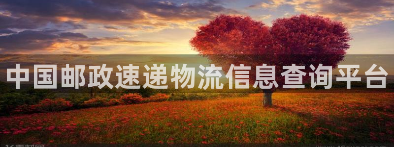 28圈注册官网：中国邮政速递物流信息