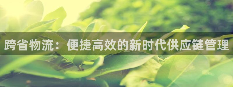 28圈app赢了500万：跨省物流：便捷高效的新时代供应链管