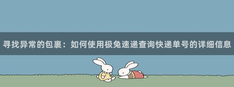 28圈官网版下载：寻找异常的包裹：如