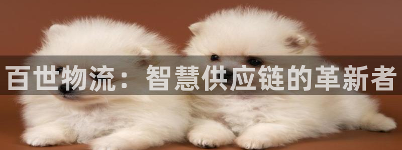 28圈网站平台是多少：百世物流：智慧