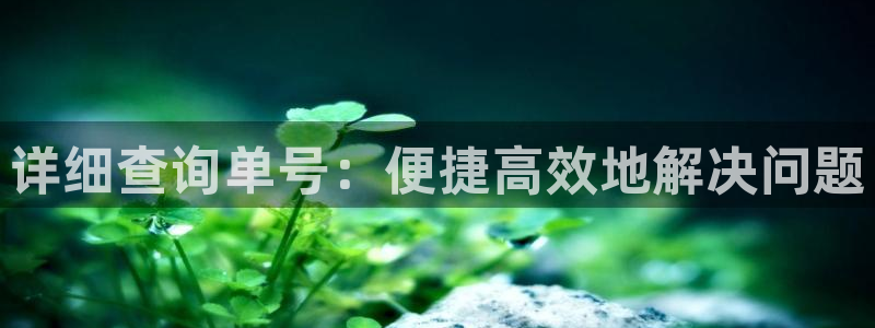 28圈选28ng官网：详细查询单号：