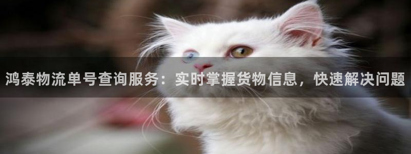 28圈充值为什么充不了