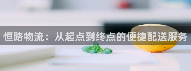 28圈怎么注册：恒路物流：从起点到终