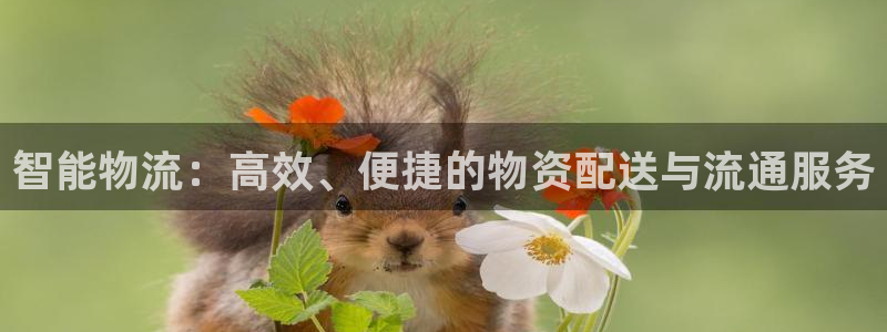 28圈注册入口与教程：智能物流：高效