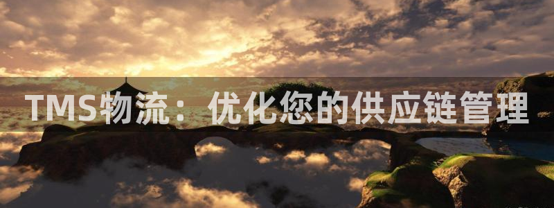 28圈游戏官网版：TMS物流：优化您