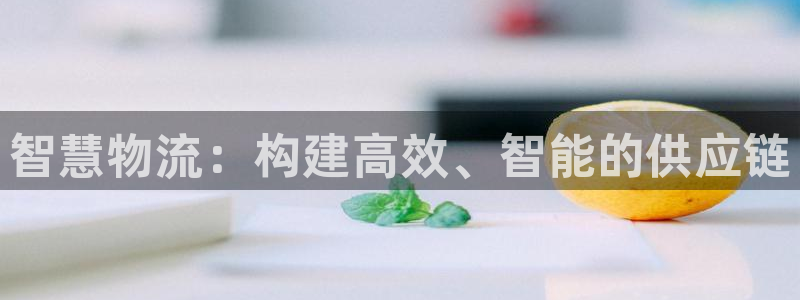 28圈旗下