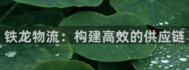 28圈违法吗：铁龙物流：构建高效的供