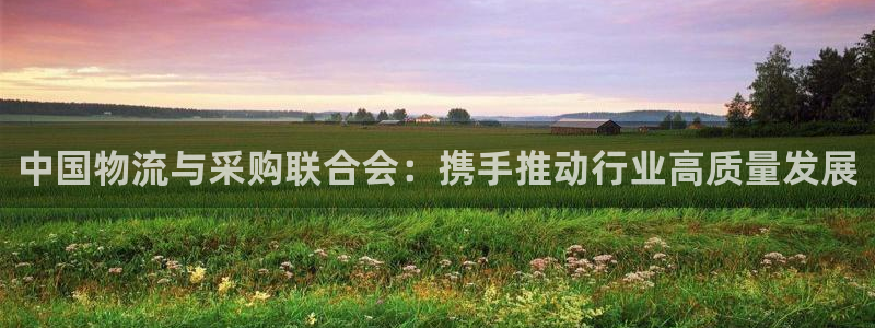 28圈游戏官网版