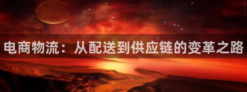 28圈p扣除：电商物流：从配送到供应