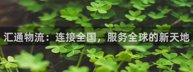 28圈自行车图片大全