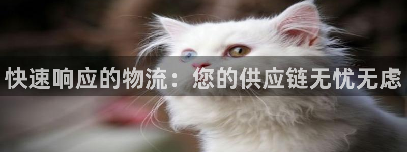 28圈怎么注册：快速响应的物流：您的