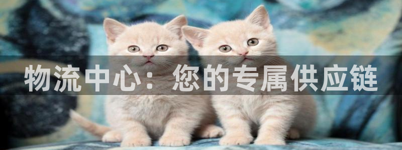 28圈能提现吗