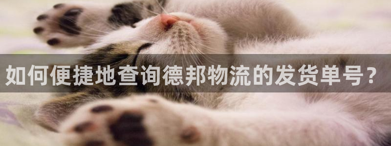 28圈自行车图片大全：如何便捷地查询