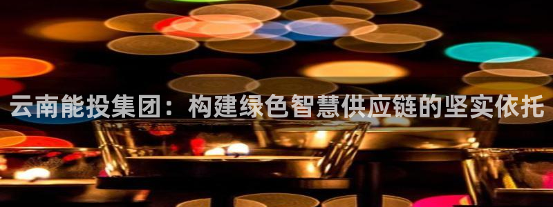 28圈官网平台下载：云南能投集团：构