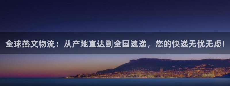 28圈官网版2024：全球燕文物流：