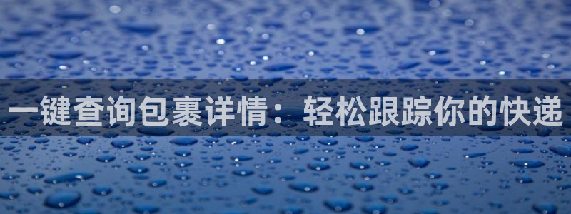 28圈现在狂杀：一键查询包裹详情：轻松跟踪你的快递