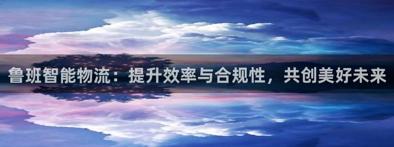 28圈防失联网址：鲁班智能物流：提升