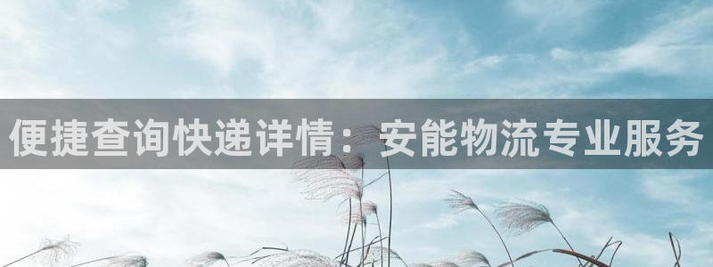 28圈是干嘛的：便捷查询快递详情：安